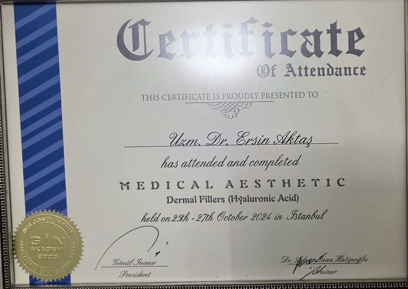 Medical Aesthetic Dermal Fillers (Hyaluronic Acid) katılım belgesi